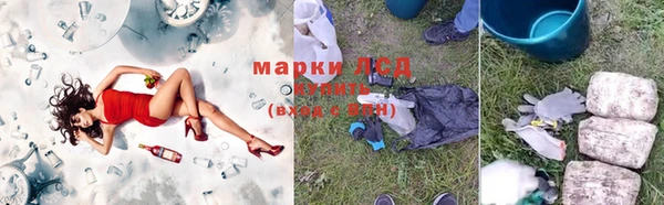 гидропоника Аркадак