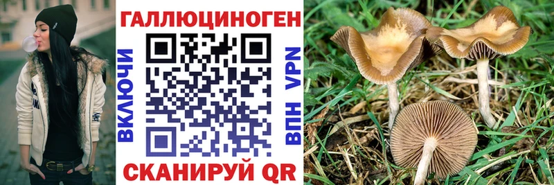 Псилоцибиновые грибы ЛСД  кракен вход  Миньяр 